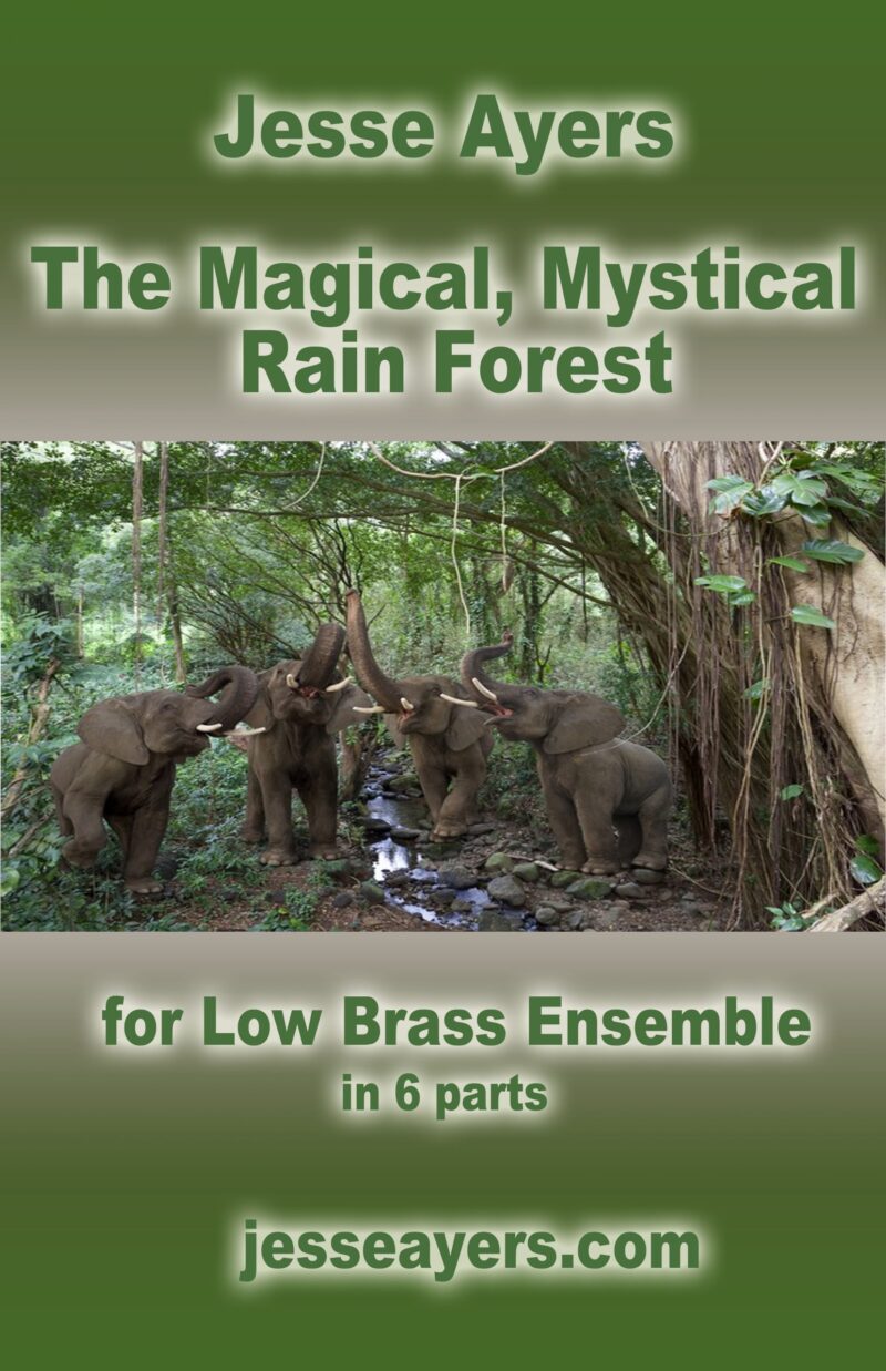 Magical Mystical Rain Forest